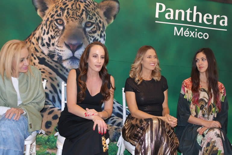 Mes del Jaguar