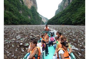 da-a-conocer-unilever-nuevos-logros-sobre-uso-de-plastico-reciclable1.jpg