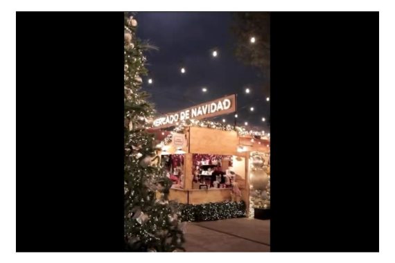 el-palacio-de-hierro-abre-el-mercado-de-navidad2.jpg