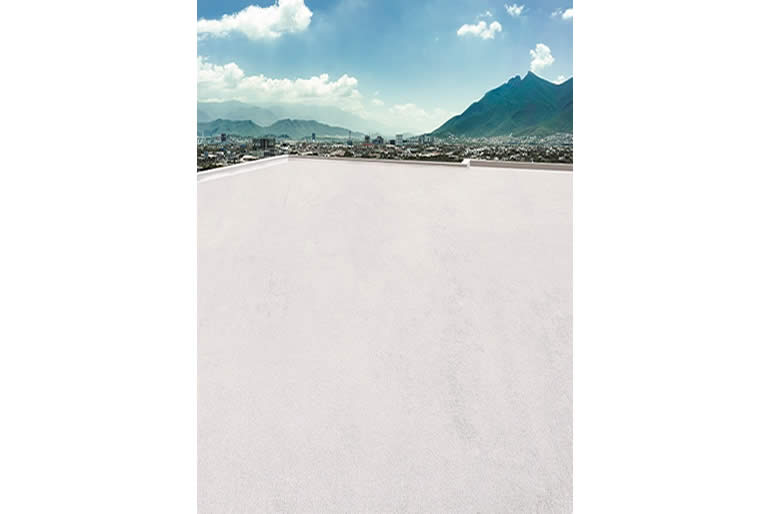 top-total-de-comex-ofrece-una-impermeabilizacion-efectiva-y-sustentable1.jpg