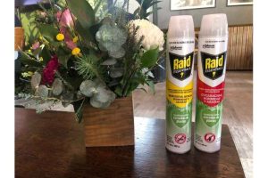 raid-essentials-con-ingredientes-activos-a-base-de-plantas-2.jpg