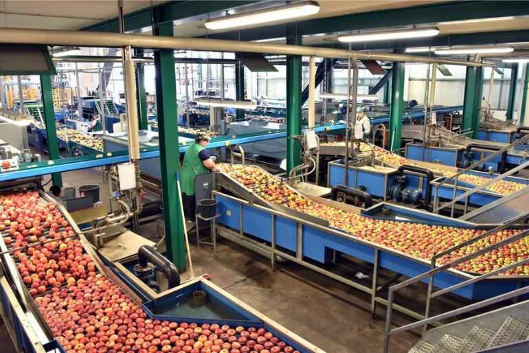 la-inocuidad-alimentaria-con-tecnologias-seguras-y-enfoque-científico-1.jpg