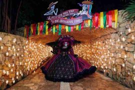 anuncia-el-festival-de-tradiciones-de-vida-y-muerte-2025-2.jpg