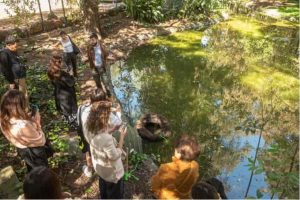 l’oréal-y-matter-of-trust-apoyan-la-restauración-ambiental-en-méxico-1.jpg