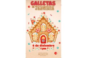 manacar-se-convierte-en-un-mundo-magico-esta-navidad-4-1.jpeg