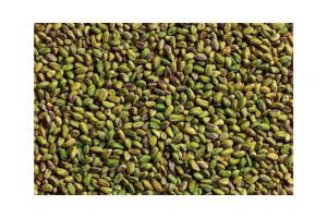 wonderful-pistachios-lanza-su-campaña-recuerda-son-wonderful-en-mexico-04.jpg