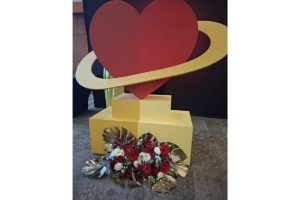 bienpremios-celebra-10-años-reconociendo-el-impacto-en-salud-y-bienestar-4.jpg