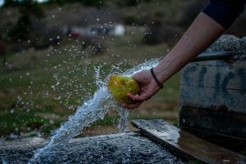 el-desperdicio-alimentario-impacta-agua-suelo-y-clima1.jpg