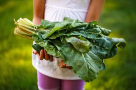 en-el-dia-del-nino-ensena-a-los-pequeños-a-no-desperdiciar-alimentos1.jpg