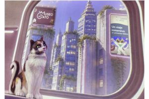 el-museo-del-gato-abre-en-cdmx-con-una-experiencia-inmersiva2.jpg