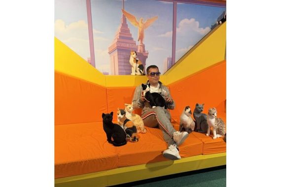 el-museo-del-gato-abre-en-cdmx-con-una-experiencia-inmersiva3.jpg